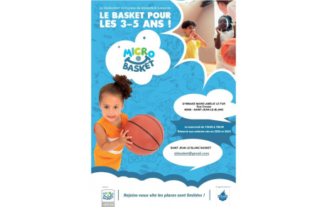 Micro basket