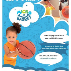 Micro basket